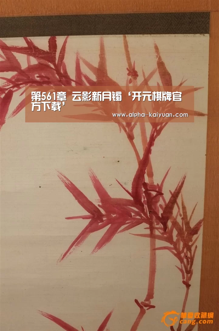 第561章 云影新月镯‘开元棋牌官方下载’(图2) 开云首页
