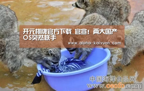 开元棋牌官方下载_官宣!两大国产OS突然联手(图1) 开元