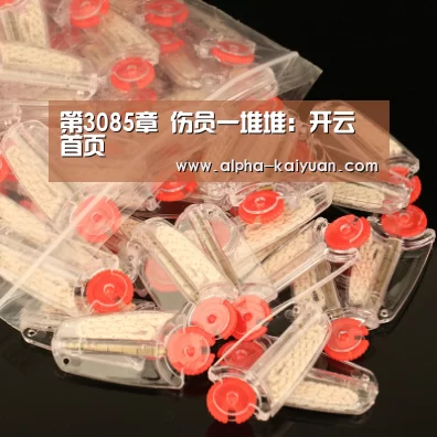 第3085章 伤员一堆堆:开云首页(图2) 开云首页