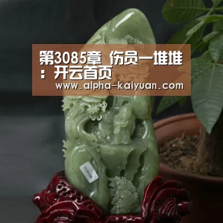 第3085章 伤员一堆堆:开云首页(图3) 开元棋牌
